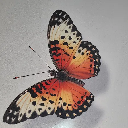 Bed & Breakfast Rana's - 4*