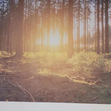 Rana's - Bed & Breakfast Rust