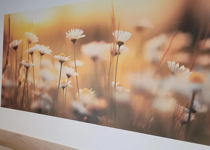 Rana's - Oda ve Kahvaltı