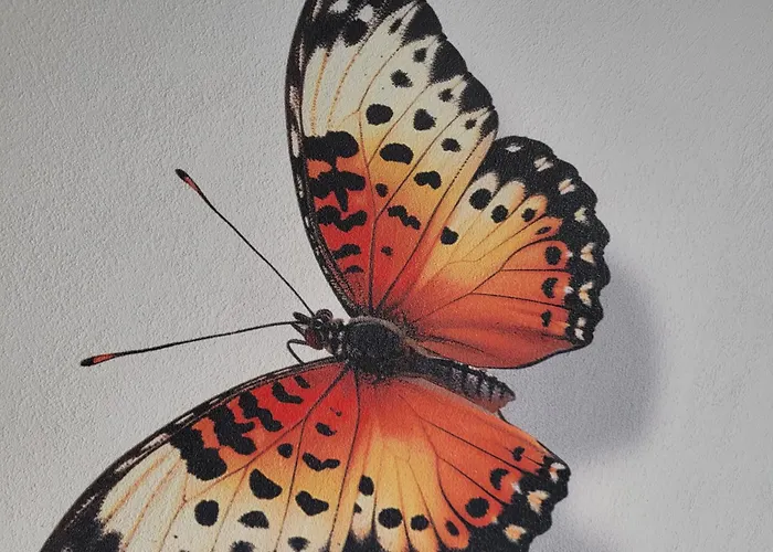 Oda ve Kahvaltı Rana's - 4*