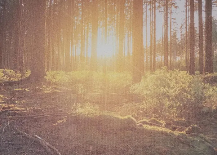 Rana's - Oda ve Kahvaltı Rust